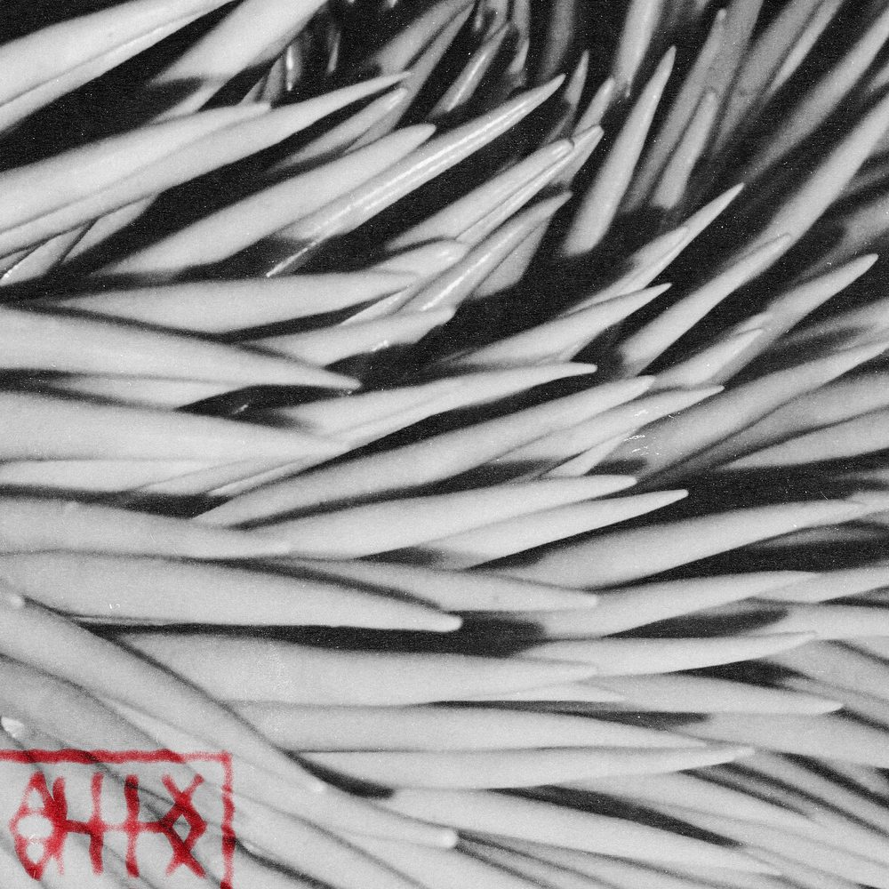 ALLLX - Vol. 1