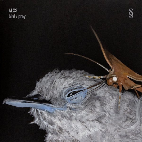 ALXS - Bird & Prey